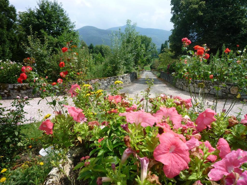 Domaine Vega Bed & Breakfast Saint-Arroman  Exterior foto